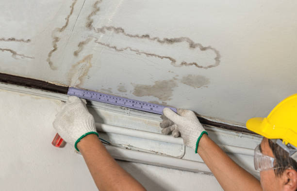 Reliable Basement Flood Cleanup contractor in Williams, AZ by Aqua Guard Water Damage